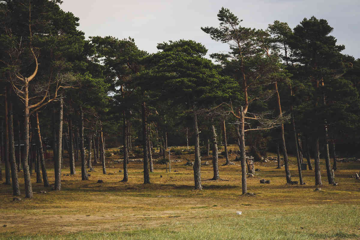 Begravningsbyrå Björkhagen