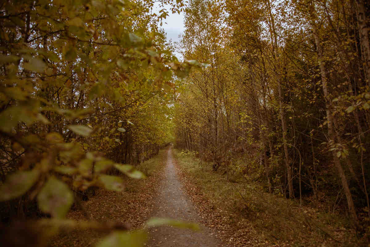 Begravningsbyrå Kärrtorp